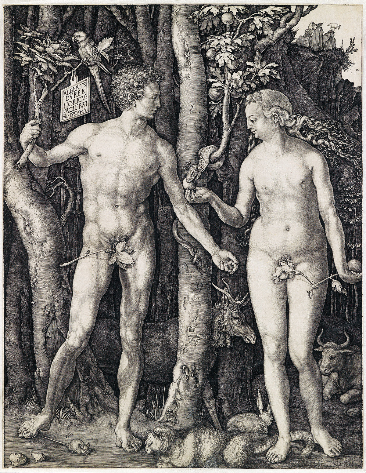 ALBRECHT DÜRER Adam and Eve.